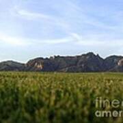 Sunset On The Golf Course Poster