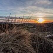 #sunset #reykjanes #iceland #lava #grass Poster