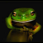 Super Frog 01 Poster