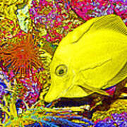 Surgeon Fish Yellow Tang Digital Art Poster