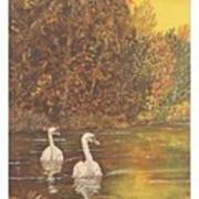 Swans Left - Happy Birthday Mum Poster