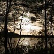 Swedish Lake Glimpsed Through Trees Poster