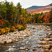 Swift River Painted With Autumns Paint Brush Poster
