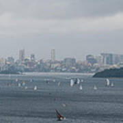 Sydney Harbour From North Head 1 Poster