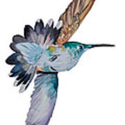 Tai The Hummingbird Poster