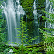 Pacific Northwest Waterfall Poster