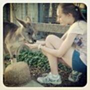 Tanya Feeds An Old Female Kangaroo Poster