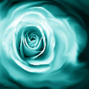 Teal Rose Flower Abstract Poster