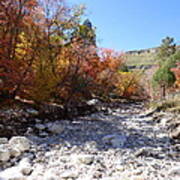 Tejas Trail In Fall Poster