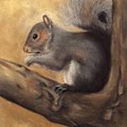 Tennessee Wildlife - Gray Squirrels Poster