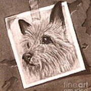 Terrier As Optical Illusion Poster