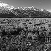 Tetons In Black And White Poster