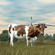 Texas Longhorn Poster