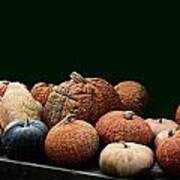 Textures Of A Fall Squash Harvest Poster