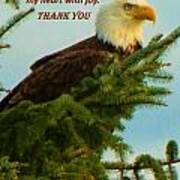 Thank You Eagle Poster
