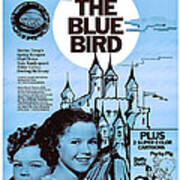 The Blue Bird, Us Poster, Bottom Left Poster
