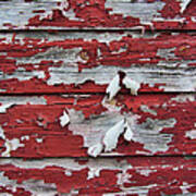 The Broad Side Of A Barn Poster