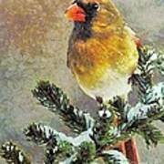 The Christmas Cardinal Poster