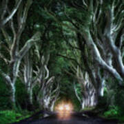 The Dark Hedges Poster