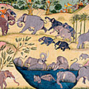 The Elephant Hunt Poster