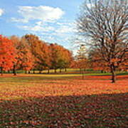 The End Of Autumn In Francis Park Poster