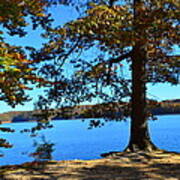 Autumn Trees On Blue Lake Poster
