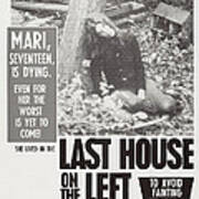 The Last House On The Left, Us Poster Poster