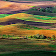 The Palouse Poster