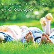 The Peace Of Christ Poster