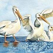 The Pelican Trio Poster