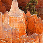 The Pope Sunrise Point Bryce Canyon National Park Poster