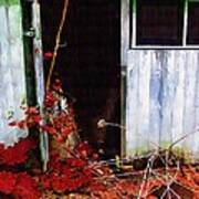 The Shed Out Back In Autumn Poster