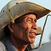 The Weathered Face Of An Ox Cart Driver Poster