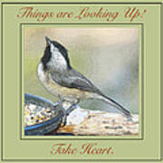 Things Are Looking Up Chickadee Print Poster