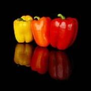 Three Bell Peppers Poster