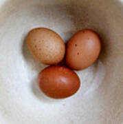 Three Brown Eggs Poster