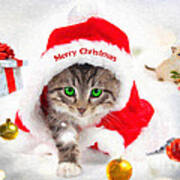 Three Christmas Kittens Poster