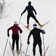 Three Cross Country Skiers. Poster