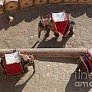 Three Elephants At Amber Fort Poster