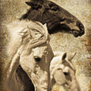 Three Horses West Poster