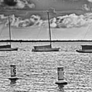 Three Sailboats Poster