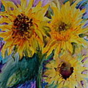 Three Sunflowers Poster