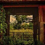 Through The Barn Door Poster