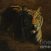 Tiger Art Poster