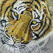 Tiger Painting Poster