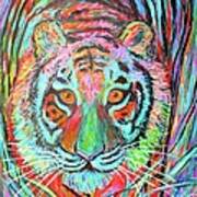Tiger Stare Poster
