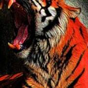 Tiger Yawning Poster