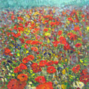 Tiptoe Through A Poppy Field Poster