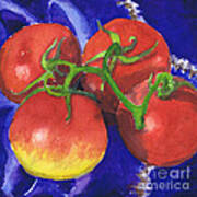 Tomatoes On Blue Tile Poster