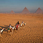 Tourists On Camels & Pyramids Of Giza Poster